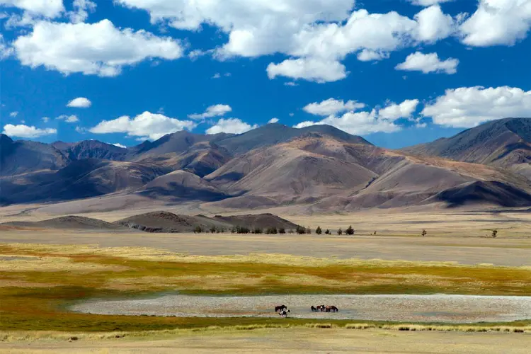 Биосферный заповедник «Убсунурская котловина»  